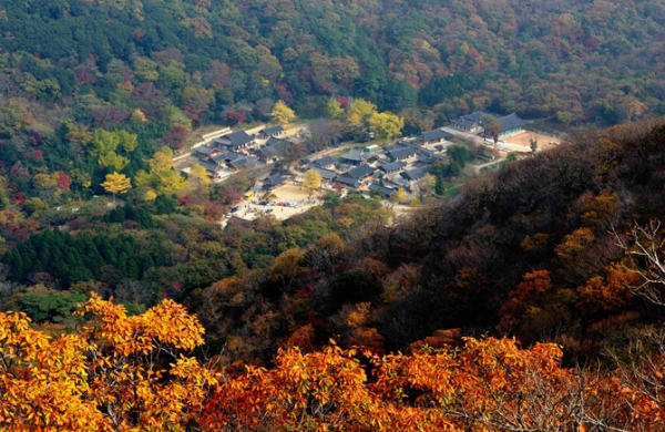 “오매~ 단풍들었네, 가을여행 떠나요” 기사 이미지