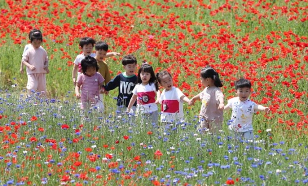 햇살 눈부신 여름이 벌써 왔어요! 기사 이미지