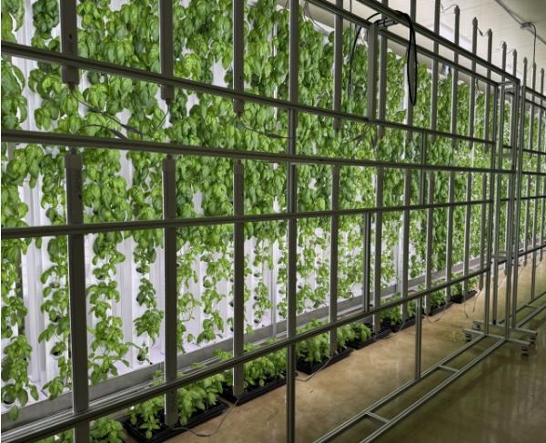 도심형 스마트팜 ‘대전팜’ 확대 추진