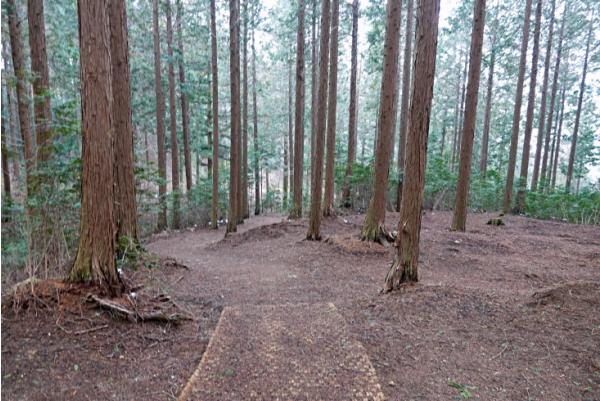 전북에서 봄을 느껴 봄, 가볼 만한 봄 여행지 추천