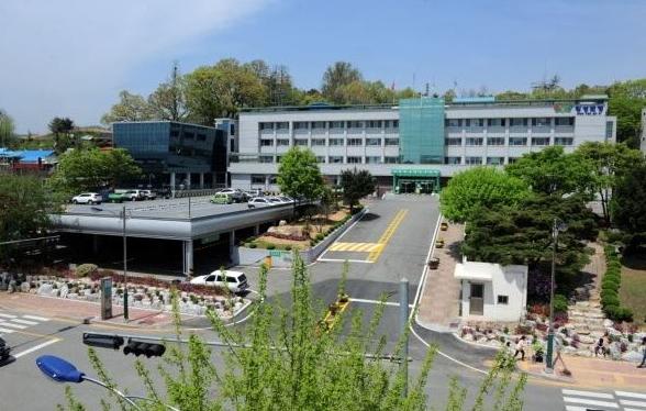 횡성군 봄철 산나물 출하시기 청정 횡성 산나물 장터 운영