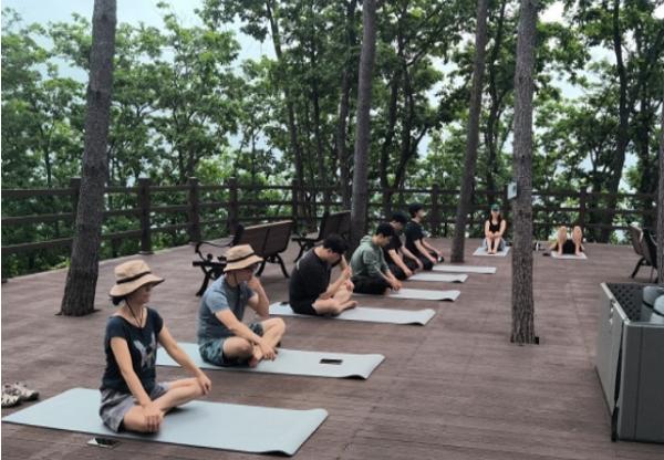 강원특별자치도, '매봉산 천상의 숲' 산림치유 프로그램 인기 절정!