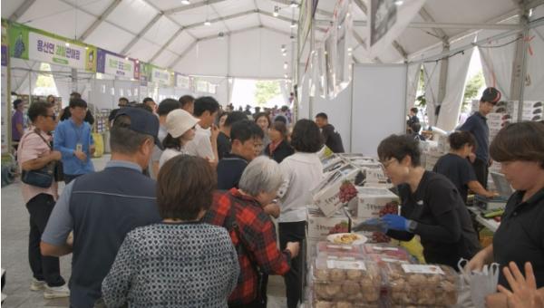 2026 영동포도축제 성료…달콤한 보랏빛 축제로 여름 끝자락 물들여